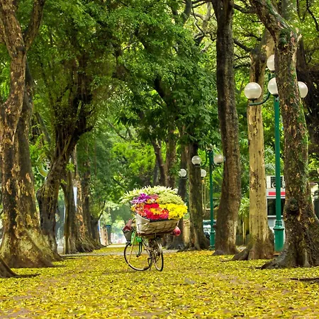 Hanoi Center Silk Hotel & Travel-2